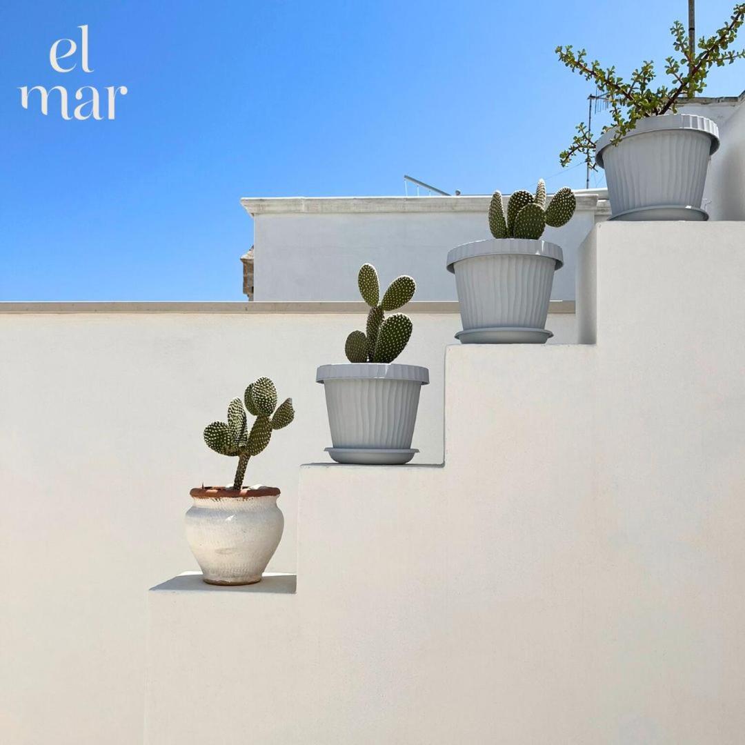 El-Mar Locazione Turistica House With Exclusive Terrace Διαμέρισμα Polignano a Mare Εξωτερικό φωτογραφία
