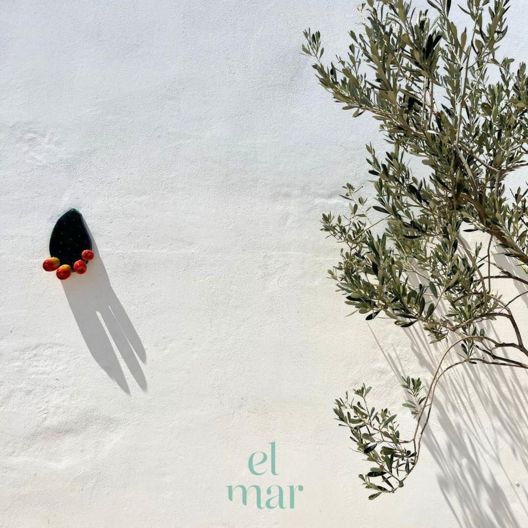 El-Mar Locazione Turistica House With Exclusive Terrace Διαμέρισμα Polignano a Mare Εξωτερικό φωτογραφία