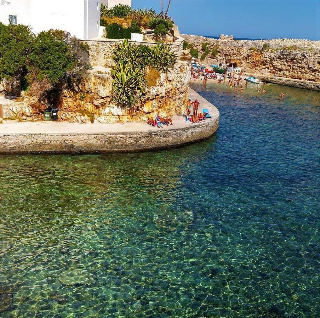 El-Mar Locazione Turistica House With Exclusive Terrace Διαμέρισμα Polignano a Mare Εξωτερικό φωτογραφία